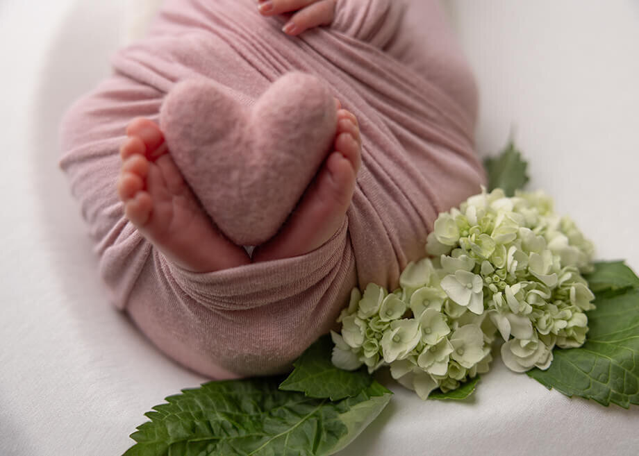 Close up photograph of a newborn's toes.  the feet are holding a felt heart and hydrangeas are accenting a pink criss cross wrap on the baby