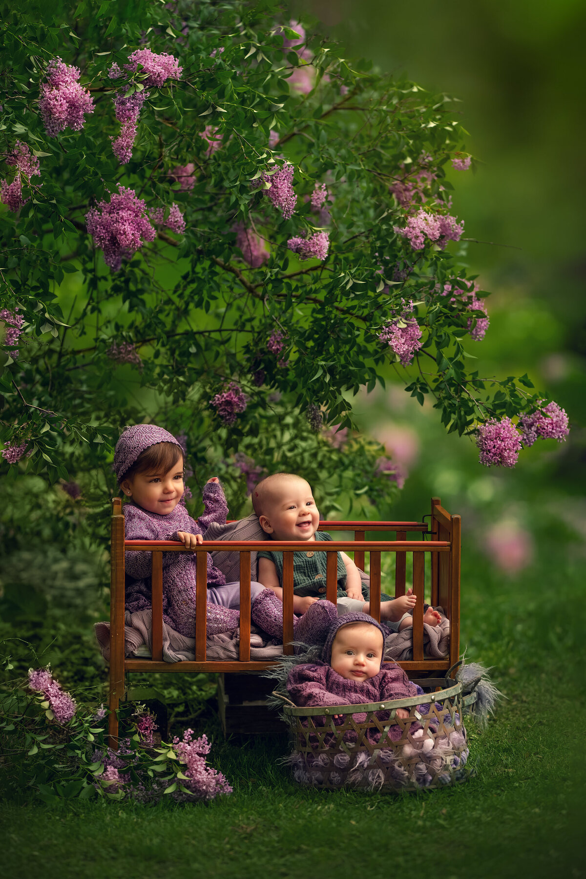Three young siblings sit in vintage wooden crib during a magical, storybook style portrait session at Boerner Botanical Gardens in Hales Corners.