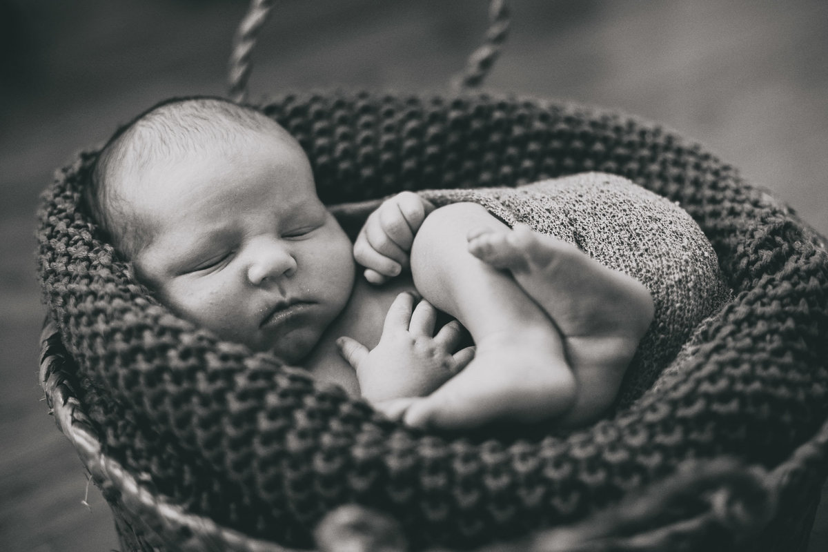 raleigh-Newborn-photographer-zane61425