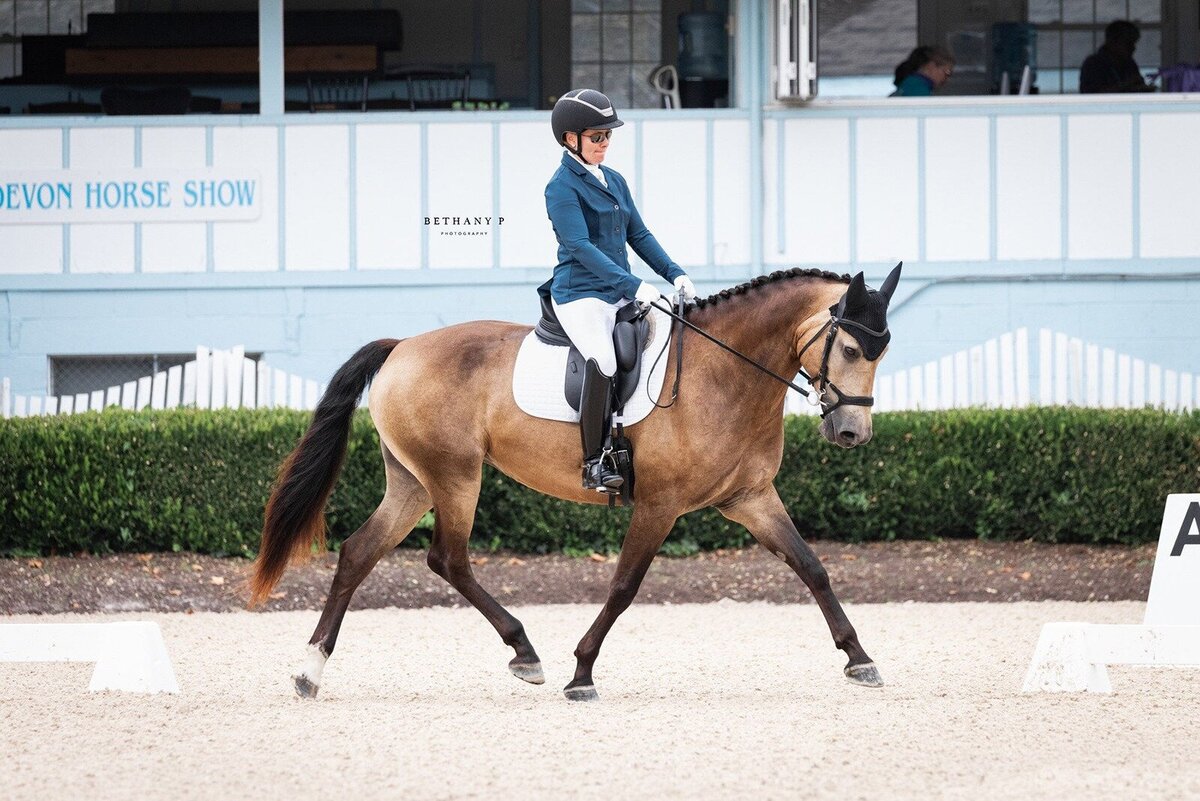 jessie-paine-jp-dressage-5