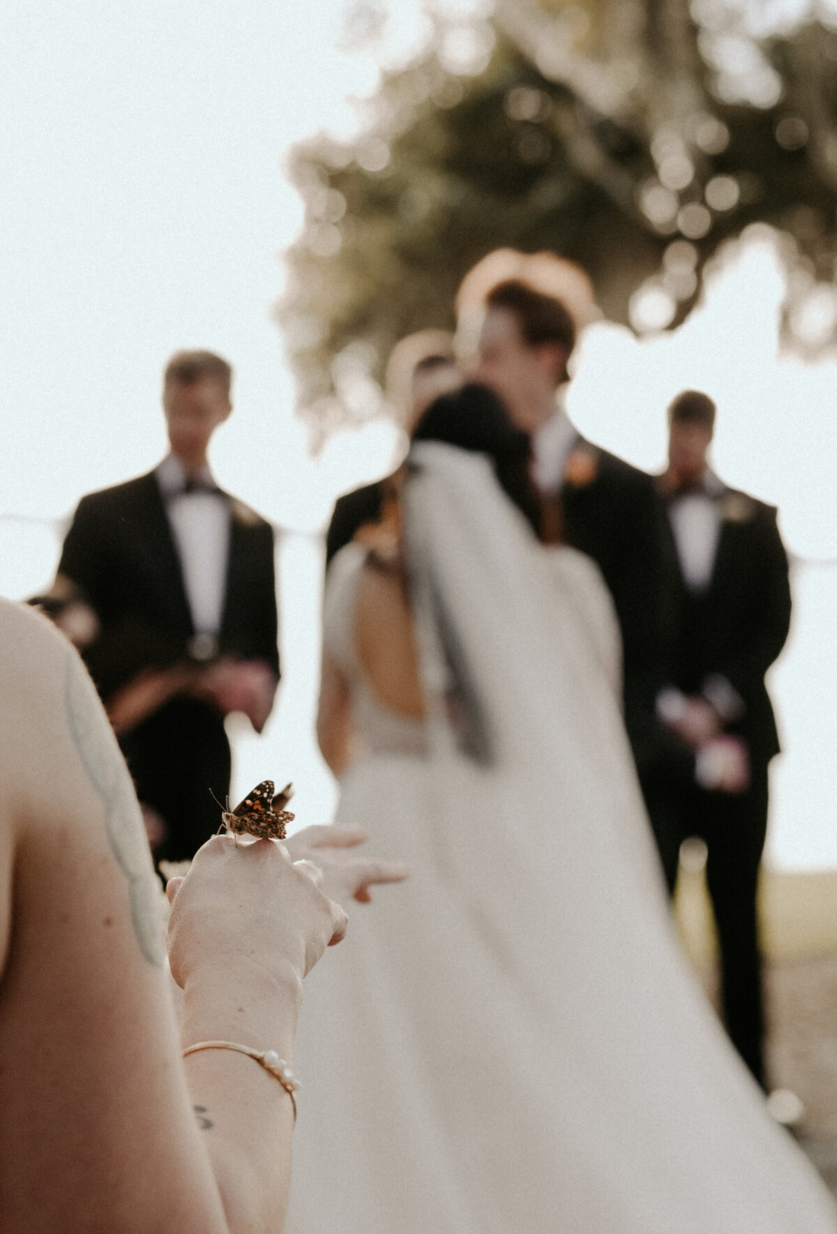 AbbyMariePhotography:  knight wedding ceremony103