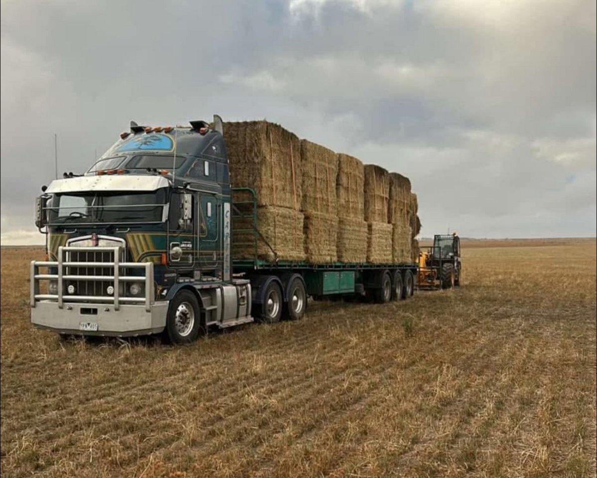 Large Truck loaded with Hay and Fodder ready for transport