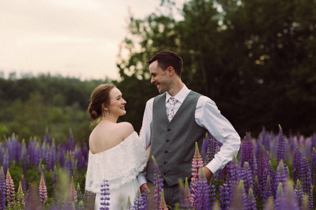 Viewing Lupines in Maine