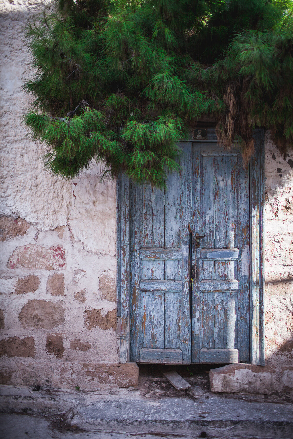 Door - Mexico - Wildlife1