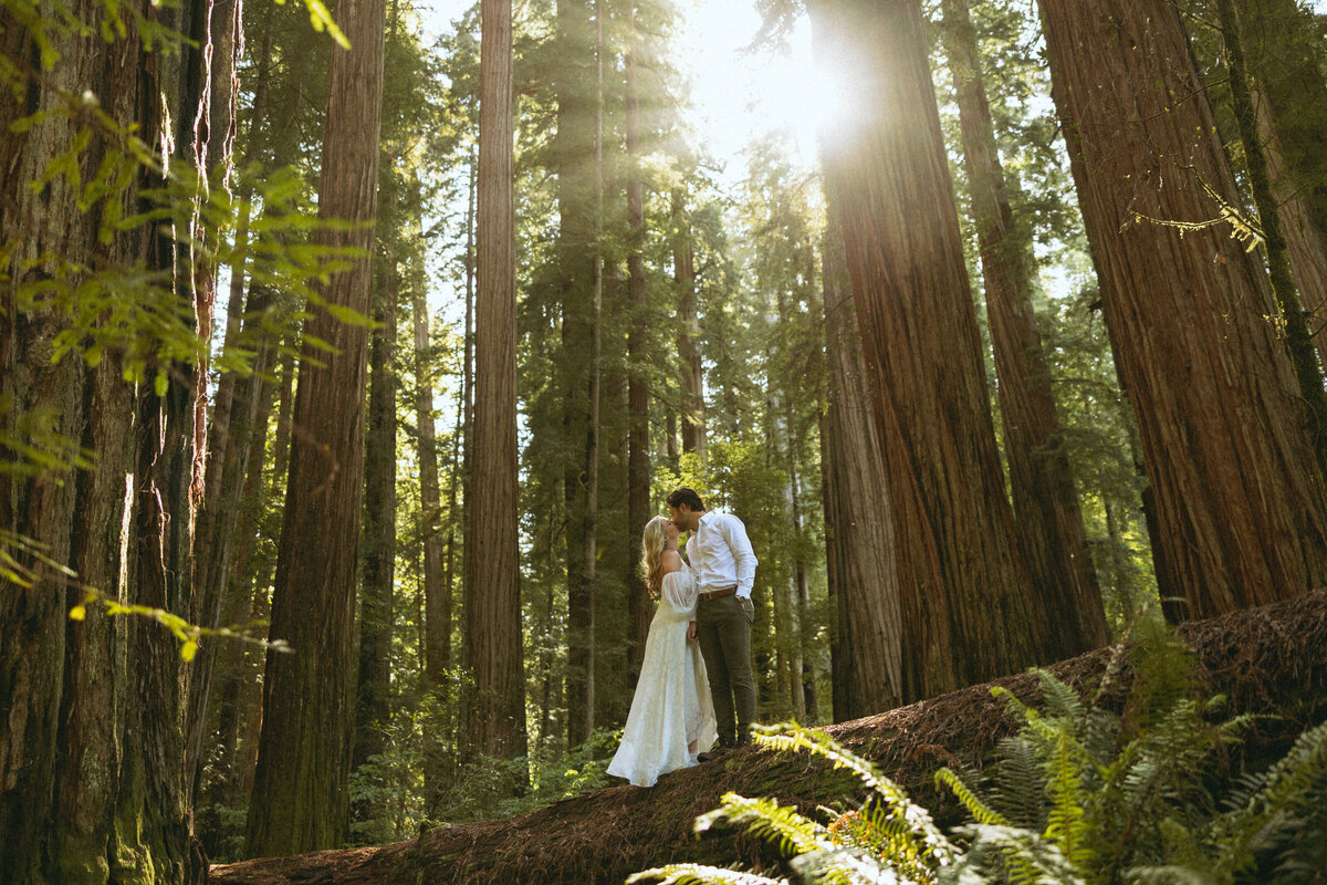 oregon-redwoods-elopement-vow-renewal-coastal-elopement-wedding-camiphotoco-12
