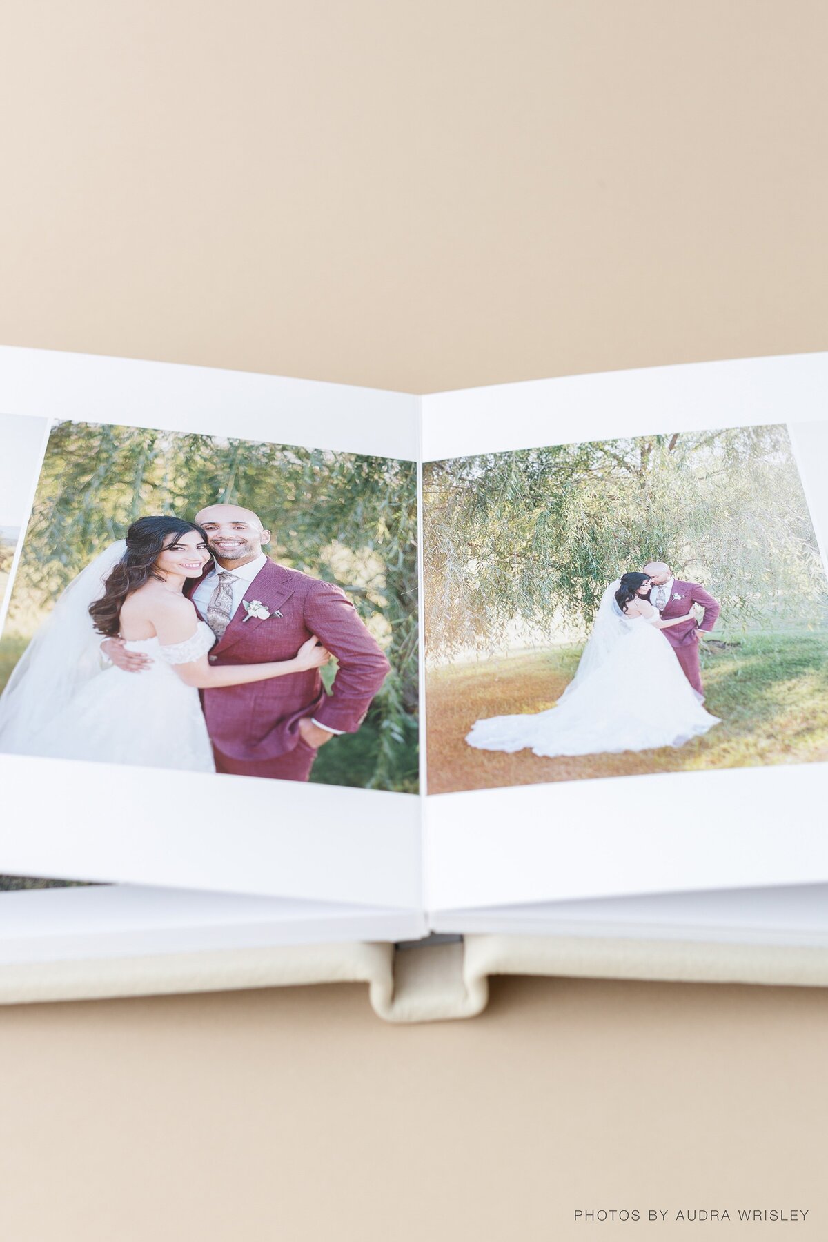 RedTree-Albums-Audra Wrisley, Fine Art Album-369