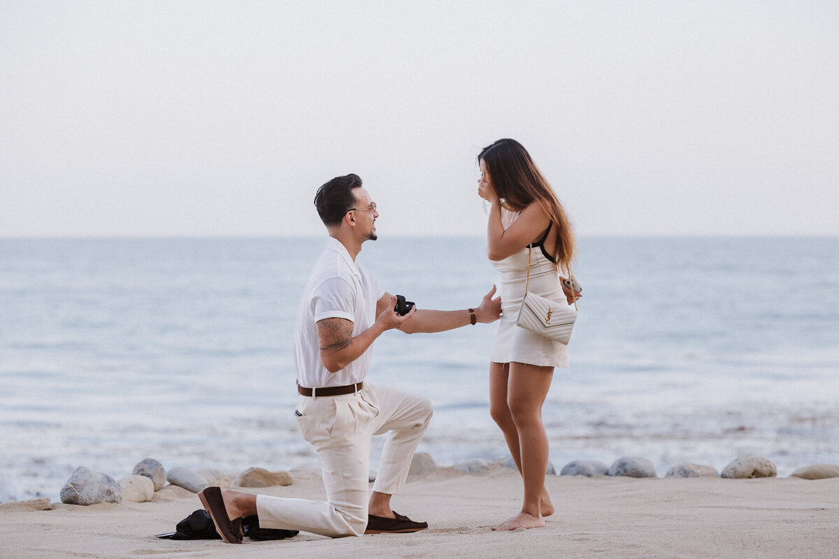 palos verdes engagement photographer terranea