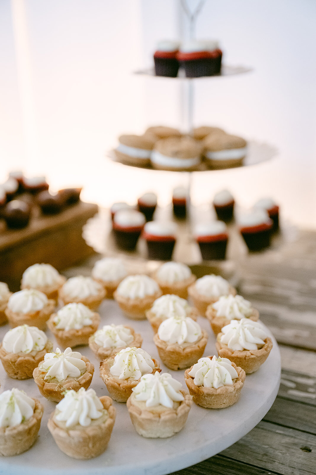 Luxury_Wedding_Photographer_Texas_Erin_Marcin_Photography-236