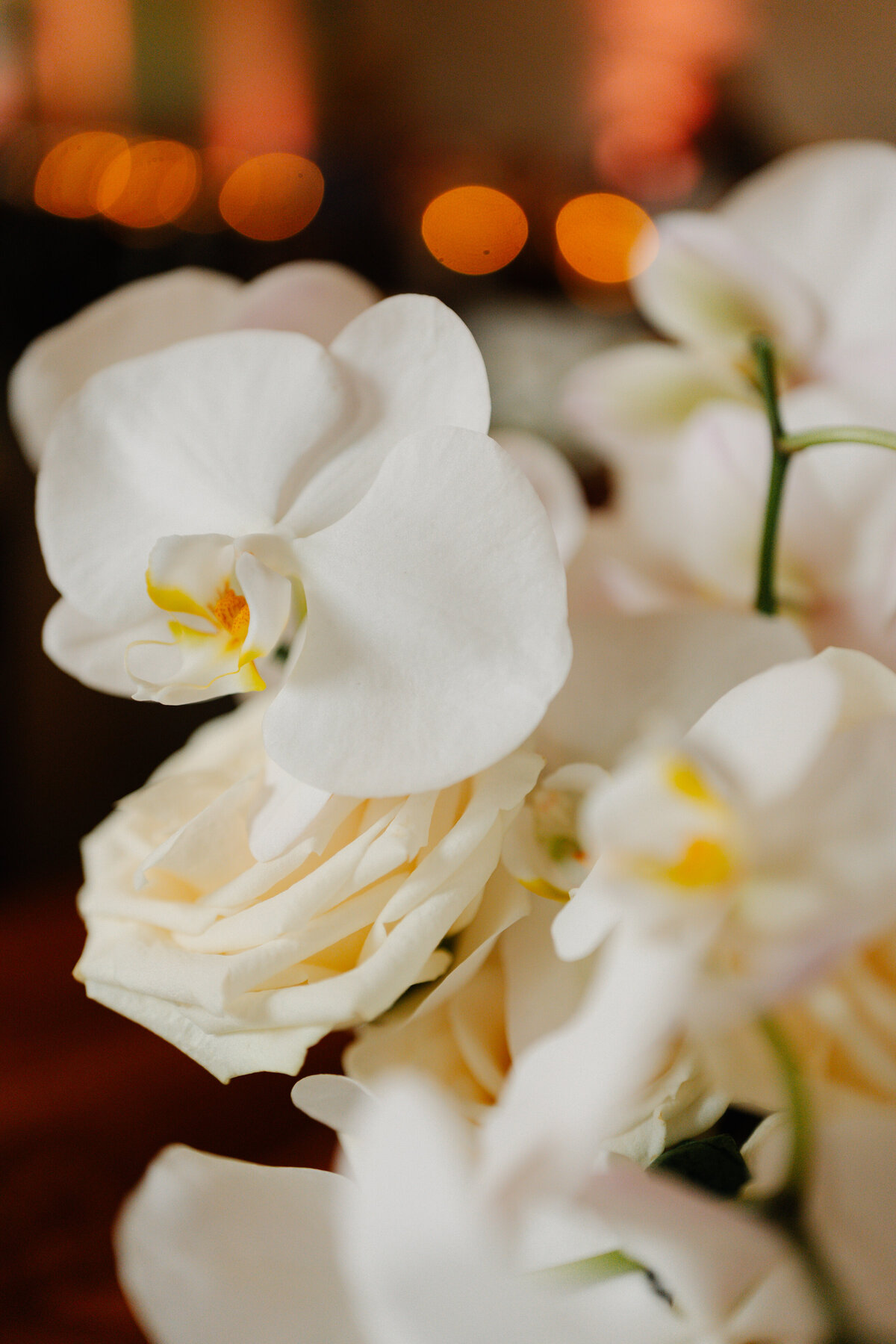 white flowers for luxury bride bouquet wedding