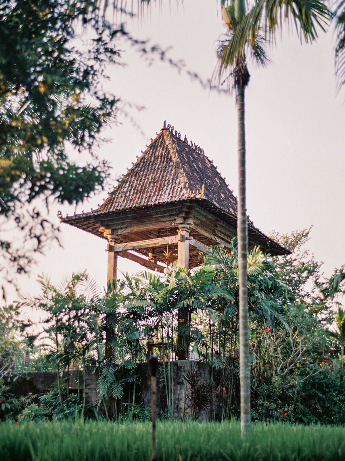 Alaya Resort Ubud Tropical Bali Micro Wedding Elopement Insporation- Vi387