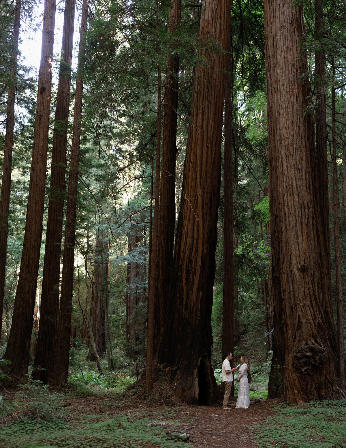 Redwoods-Elopement-40