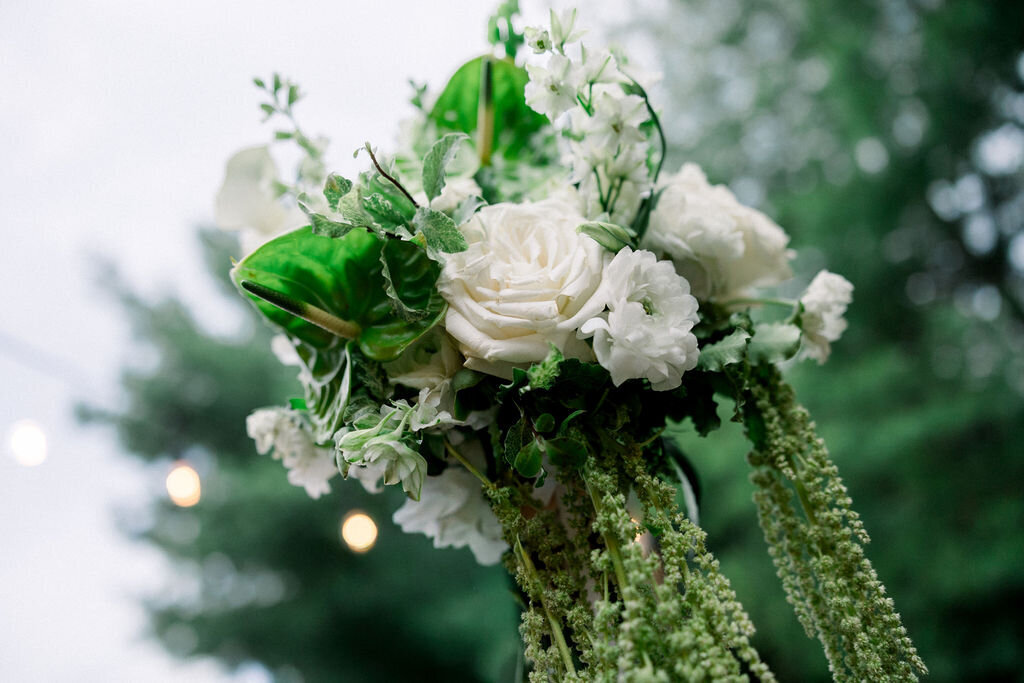 sheila_mraz-8306