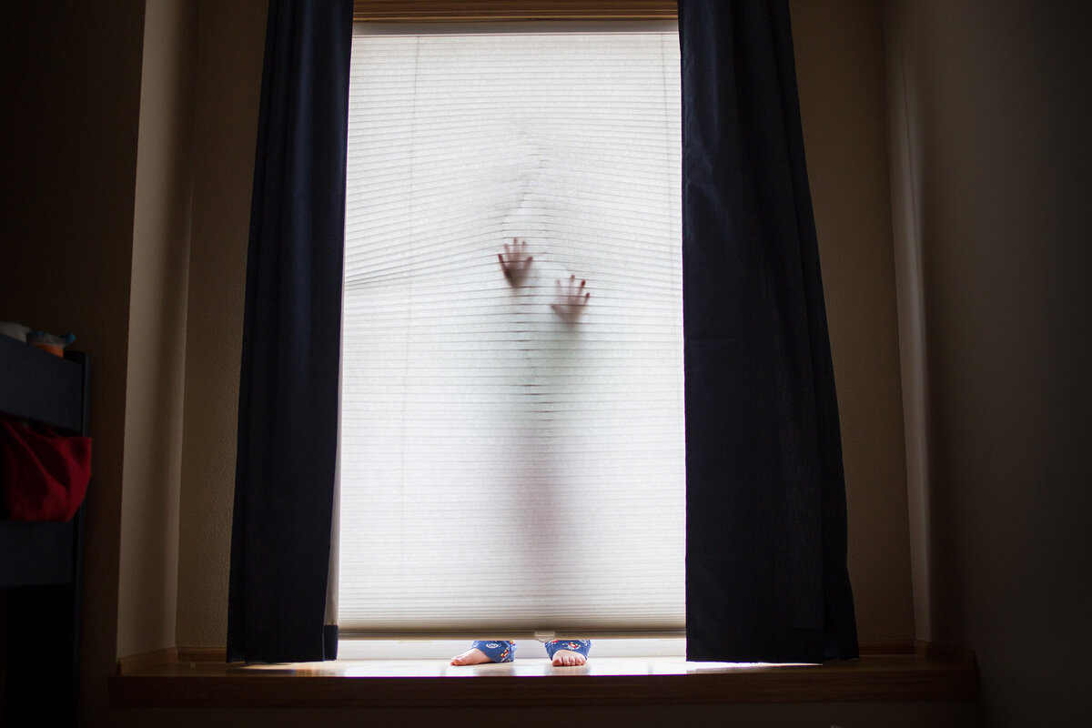 hide and seek in the window