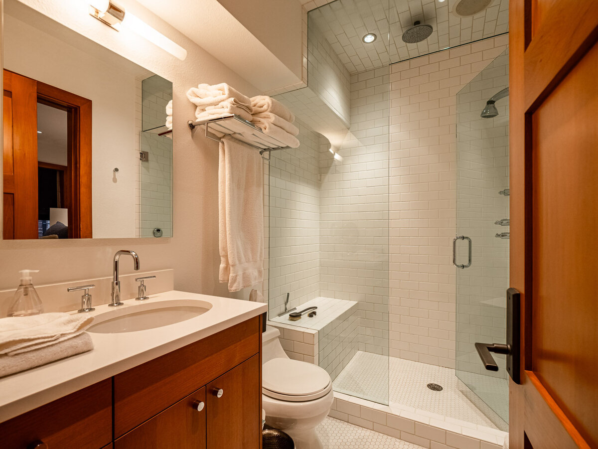 MLS - 532 E Hopkins Ave - Aspen, CO-30