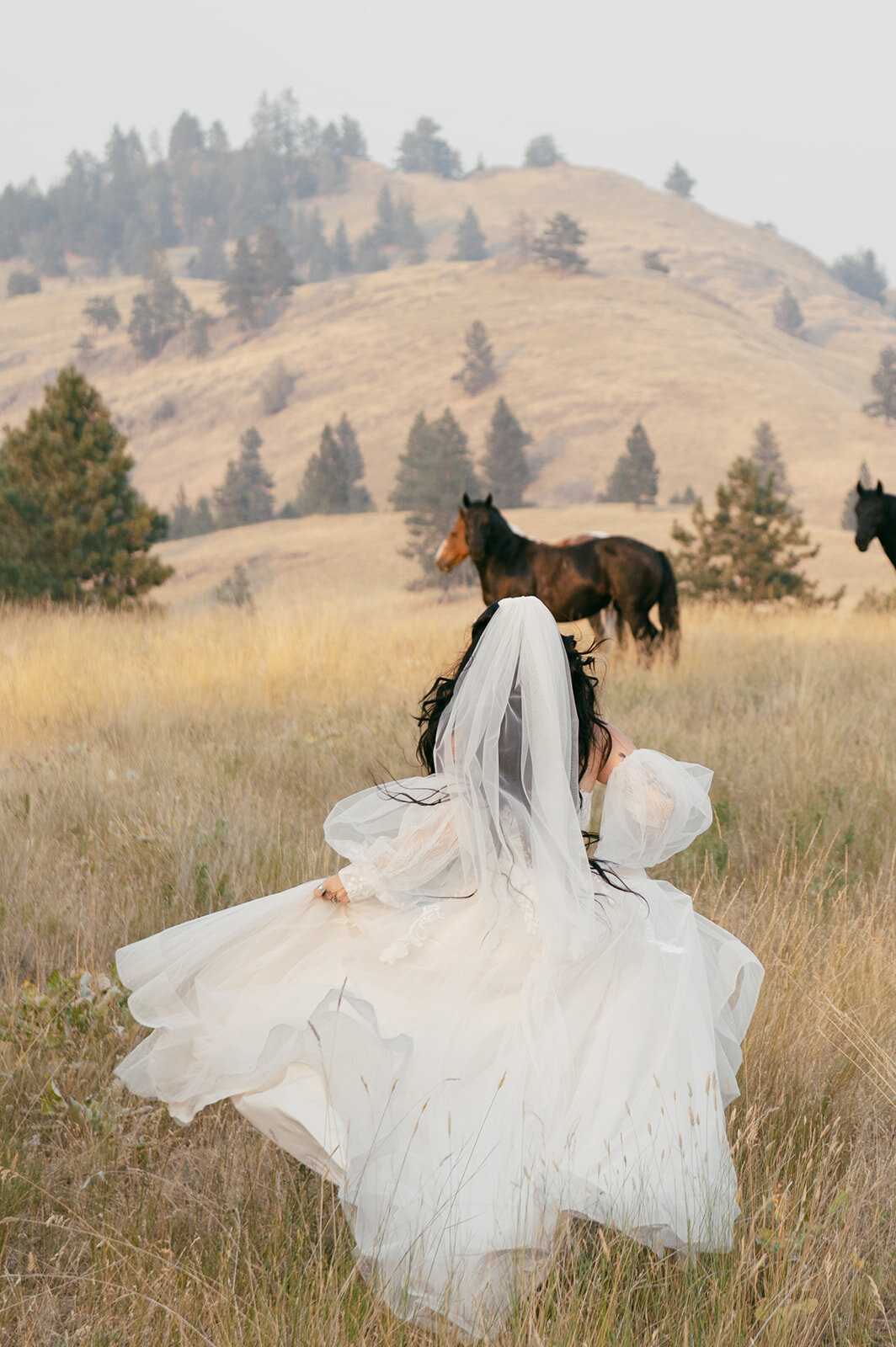 presley-gray-photo-wild-horse-montana-elopement-0177