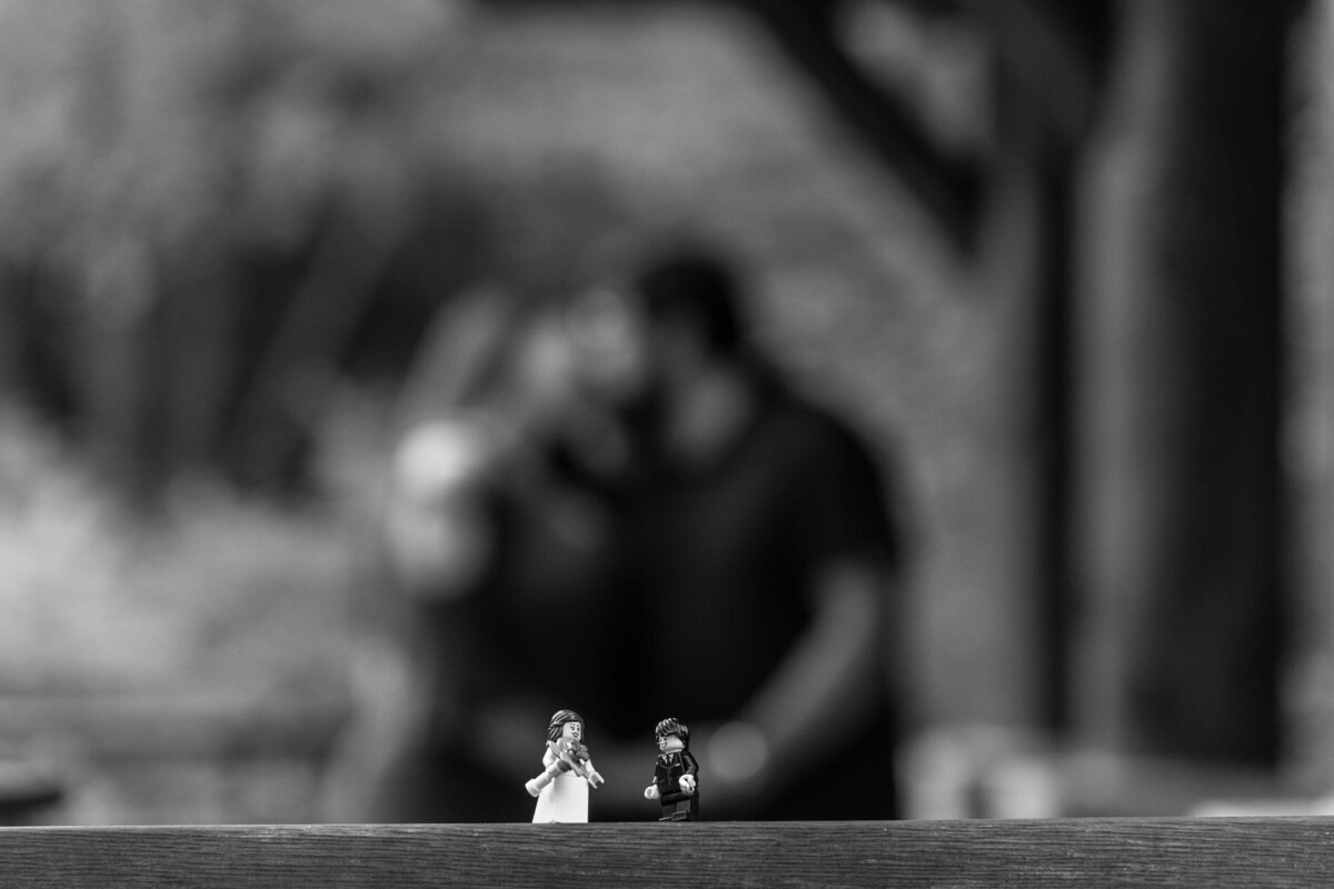 hills-and-dales-metropark-engagement-session-photos--11