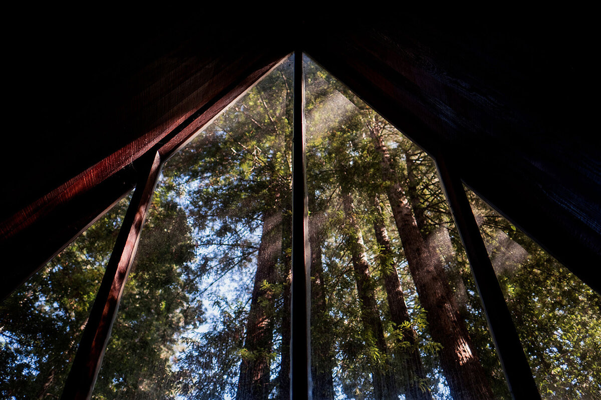 Sequoia-Retreat-Center-Romantic-Woodland-Wedding-3