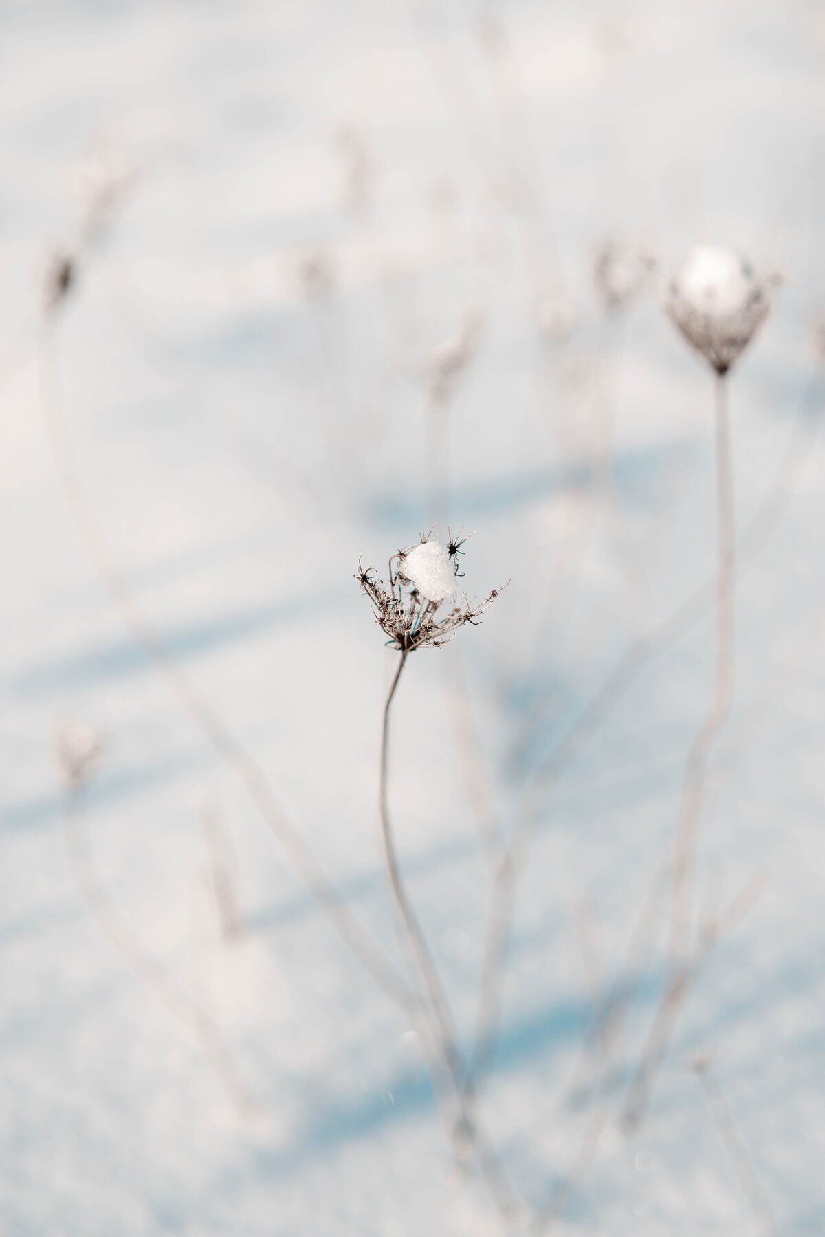 mathilde-langevin-6cDh4hh0j-c-unsplash