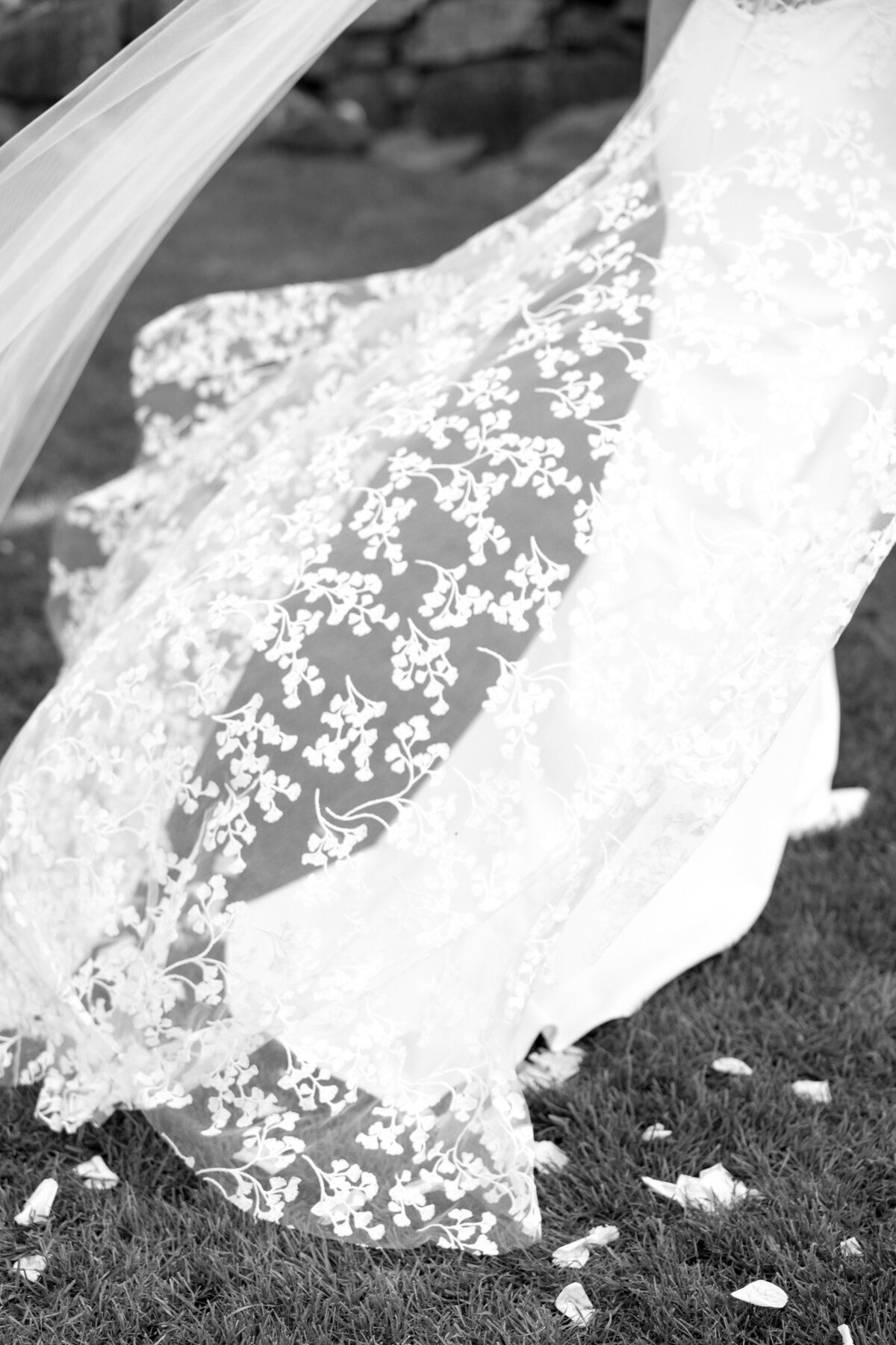 hayleyconnorwedding-566