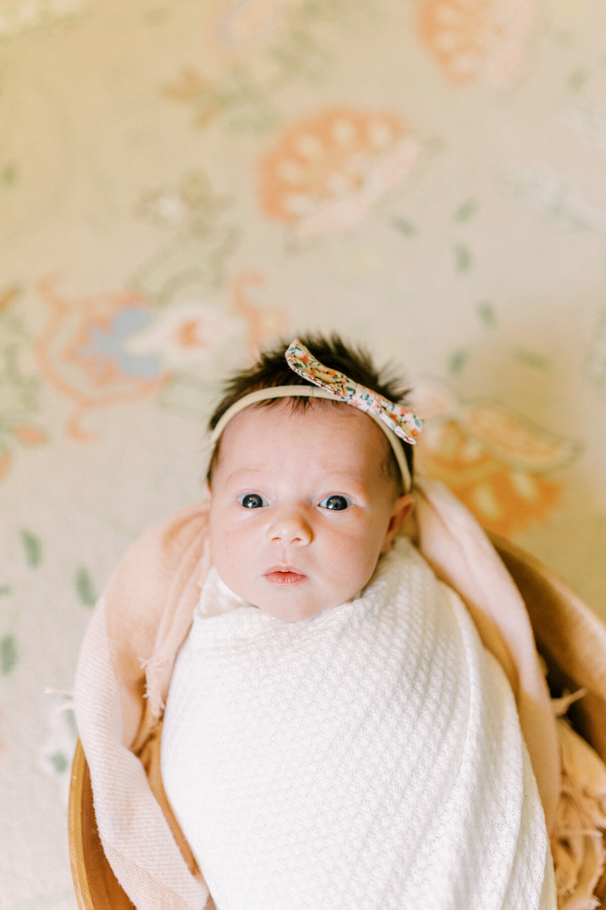 Megan Lampert Photography, LLC Collins Newborn 20235