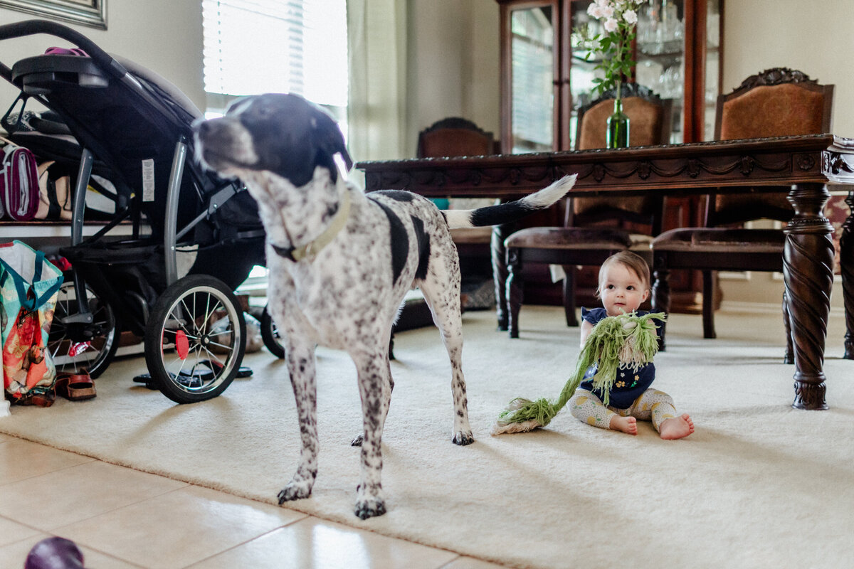 houston-newborn-photographer-65