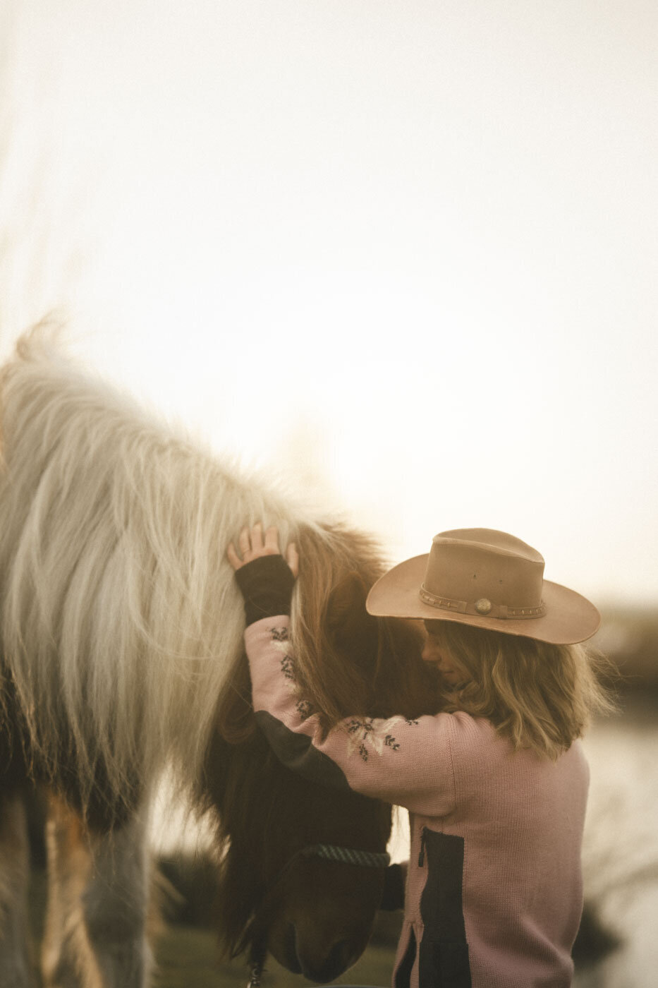 Verhalende fotoshoot met je paard in combinatie met branding, focus op de unieke band tussen paard en eigenaar.