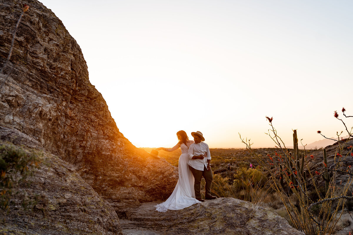 saguaro national park tucson arizona elopement photography (8)