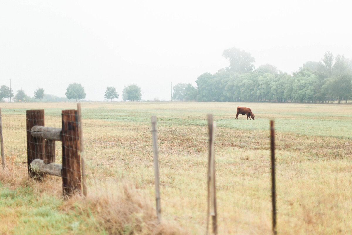 Texas-San-Antonio-Austin-Houston-Wedding-Photographer-Engagement-JL-Farm_0088