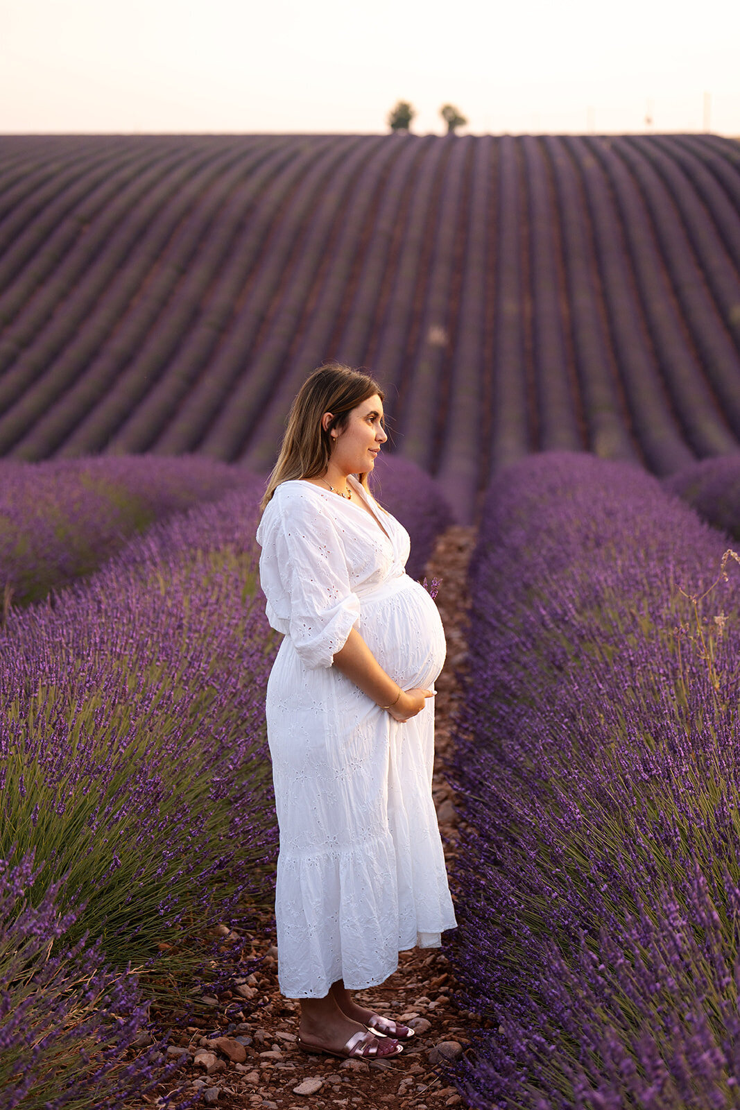 shooting-grossesse-couple-lavandes-provence25