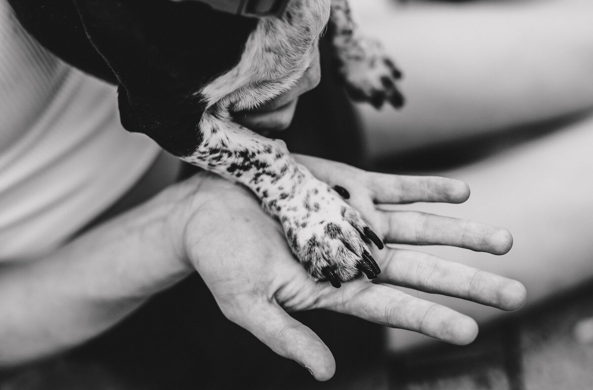 documentary photography in Indiana