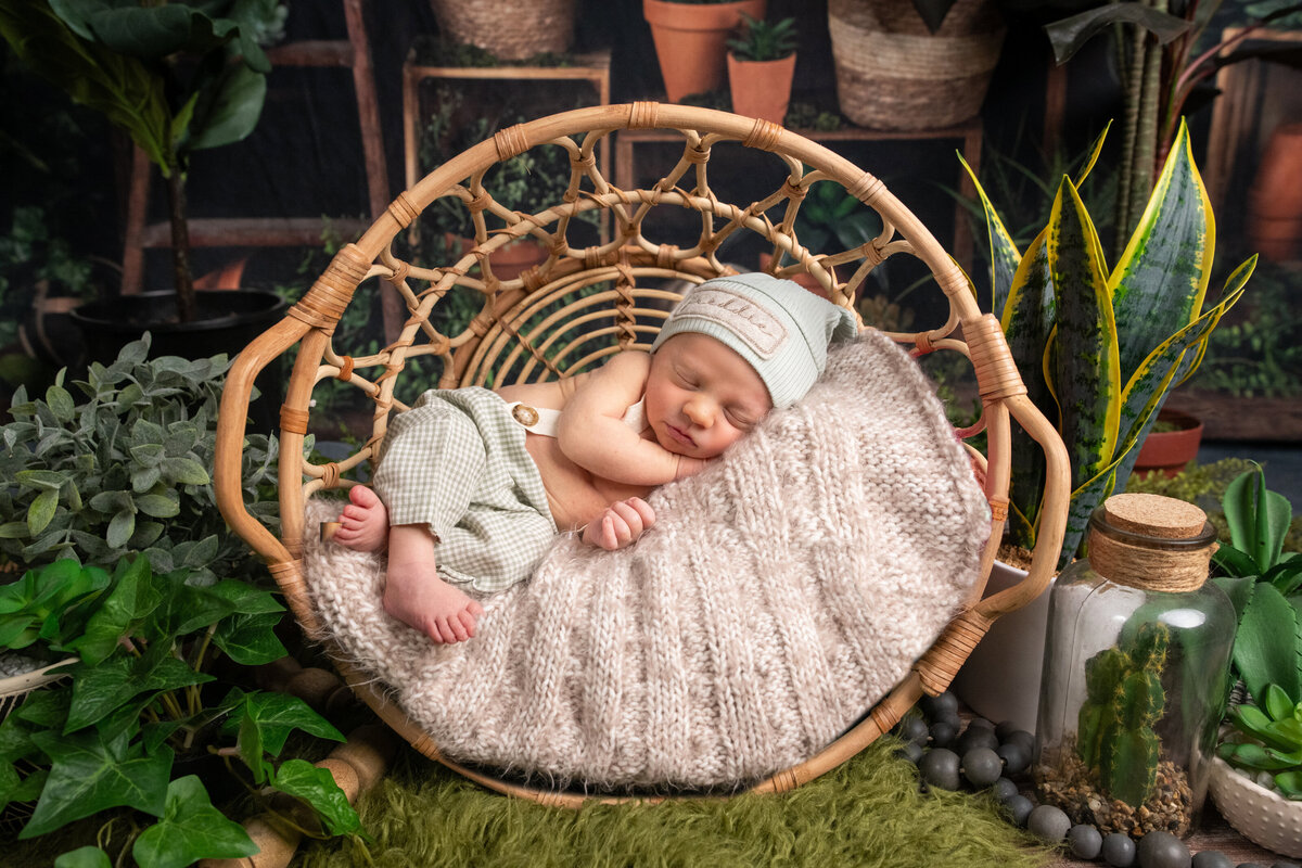 baby in greenhouse set