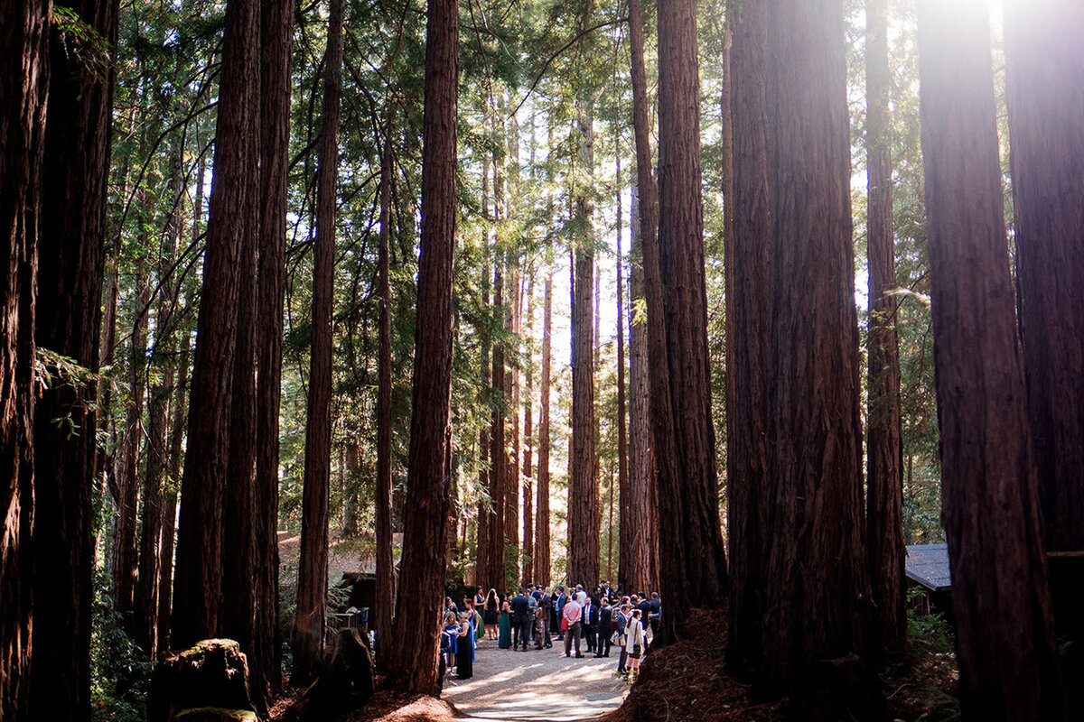 Sequoia-Retreat-Center-Romantic-Woodland-Wedding-6