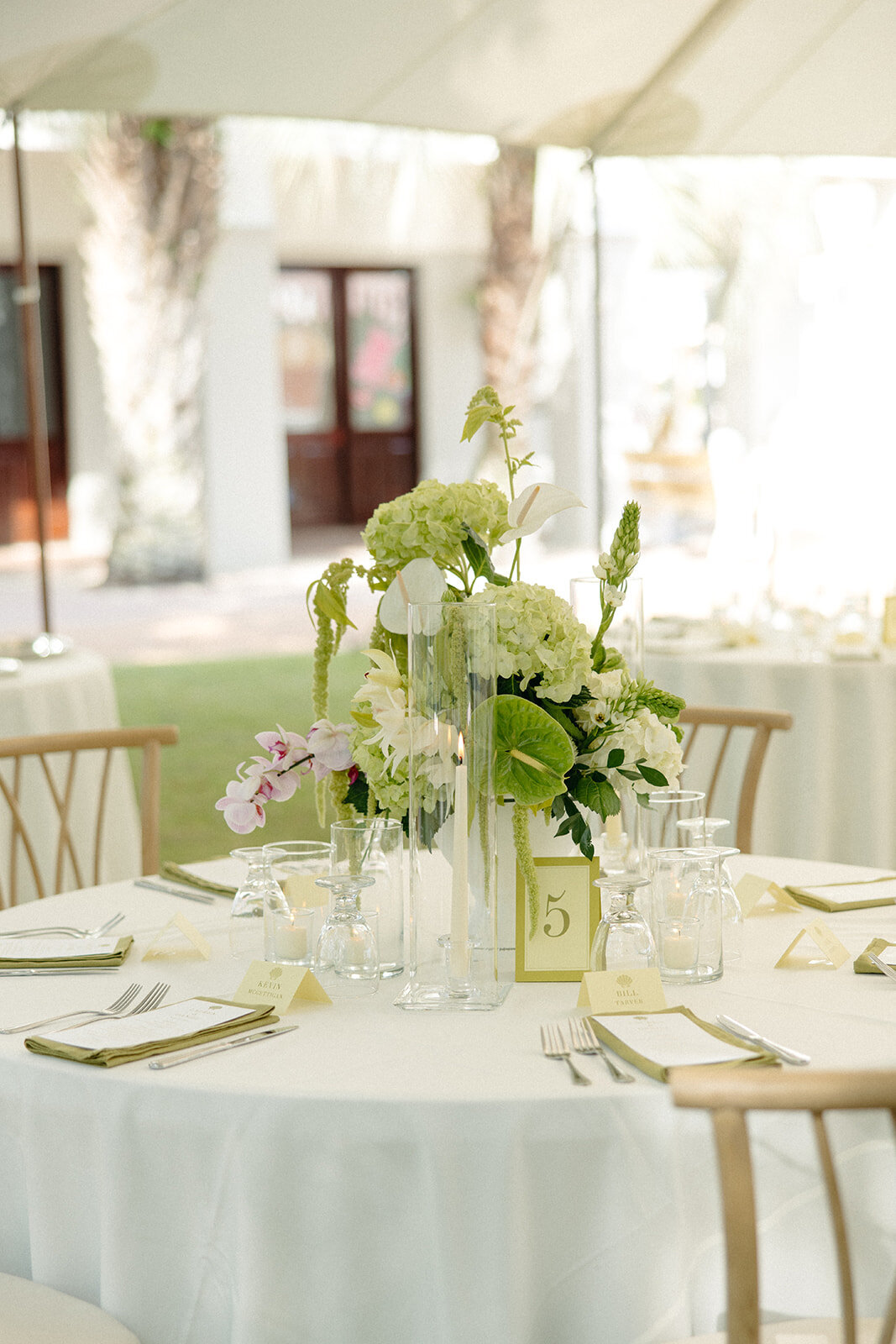 Carillon_Beach_Wedding-25_websize