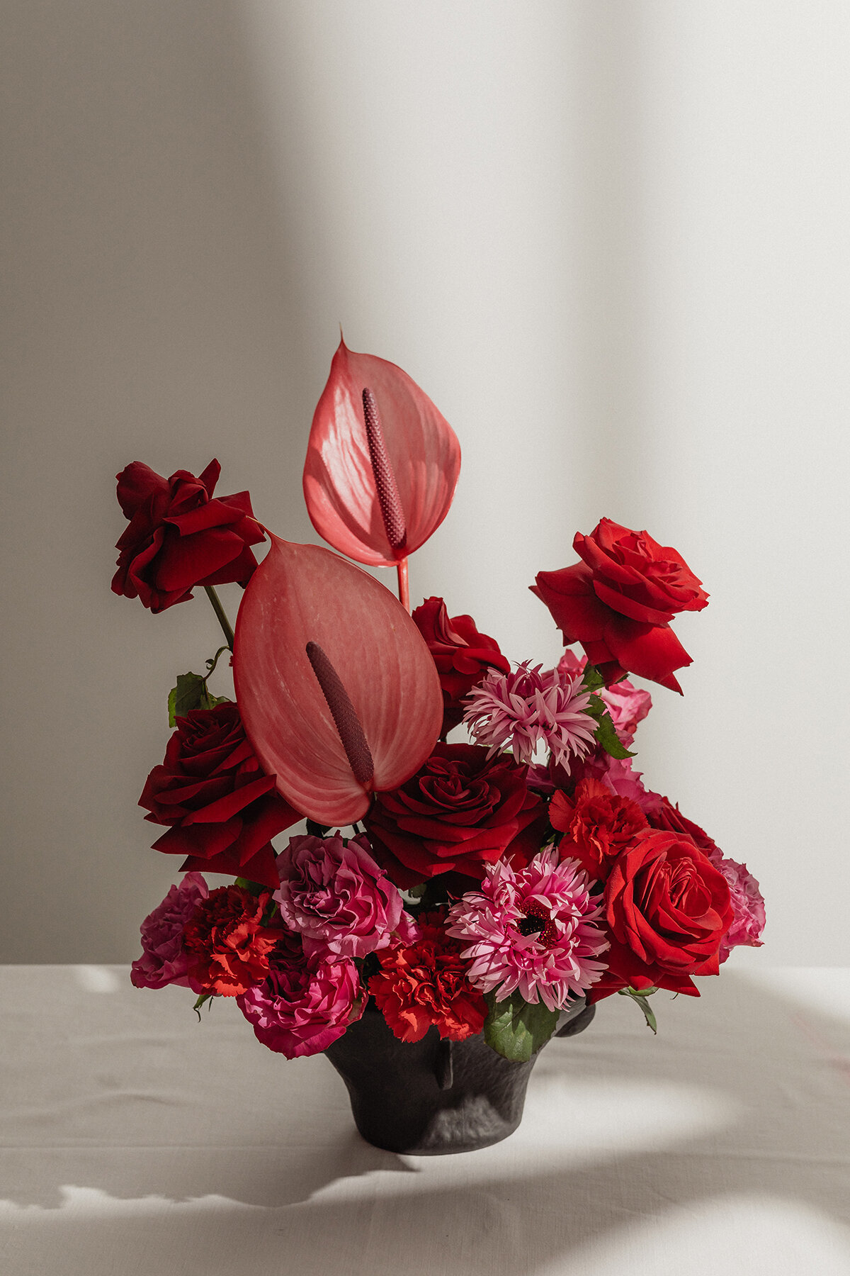 kaboompics_red-flowers-34630