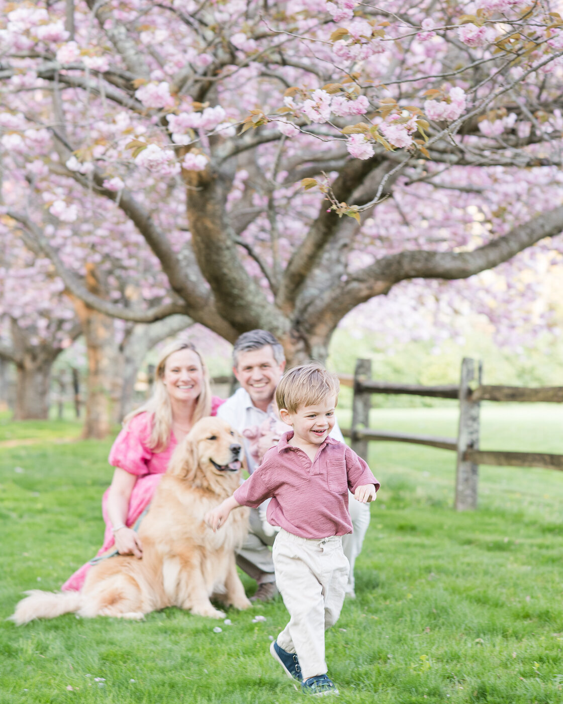 Cherry-Blossom-Photos-Erin-Belles-Photography-2024-23