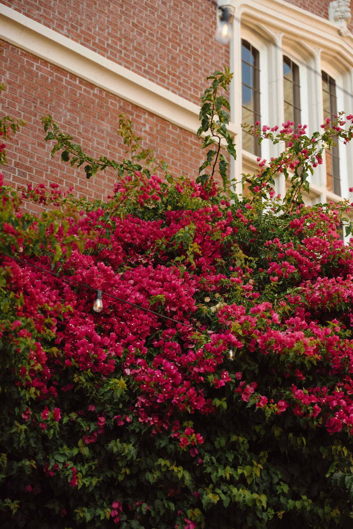 Shrene_Kevin_KohlMansion-66