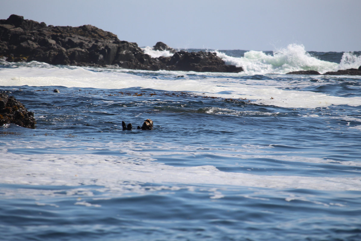 Wade_Muir_Photography_Places-72