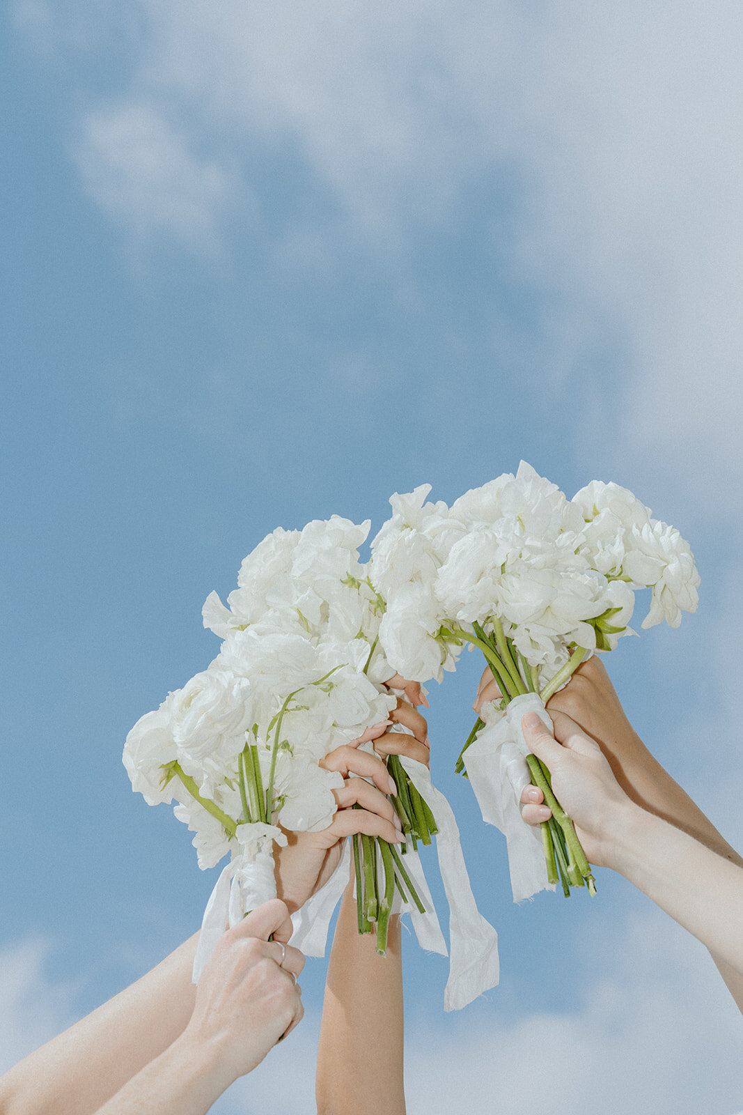 SANTA_BARBARA_WEDDING_PHOTOGRAPHER-006941_websize