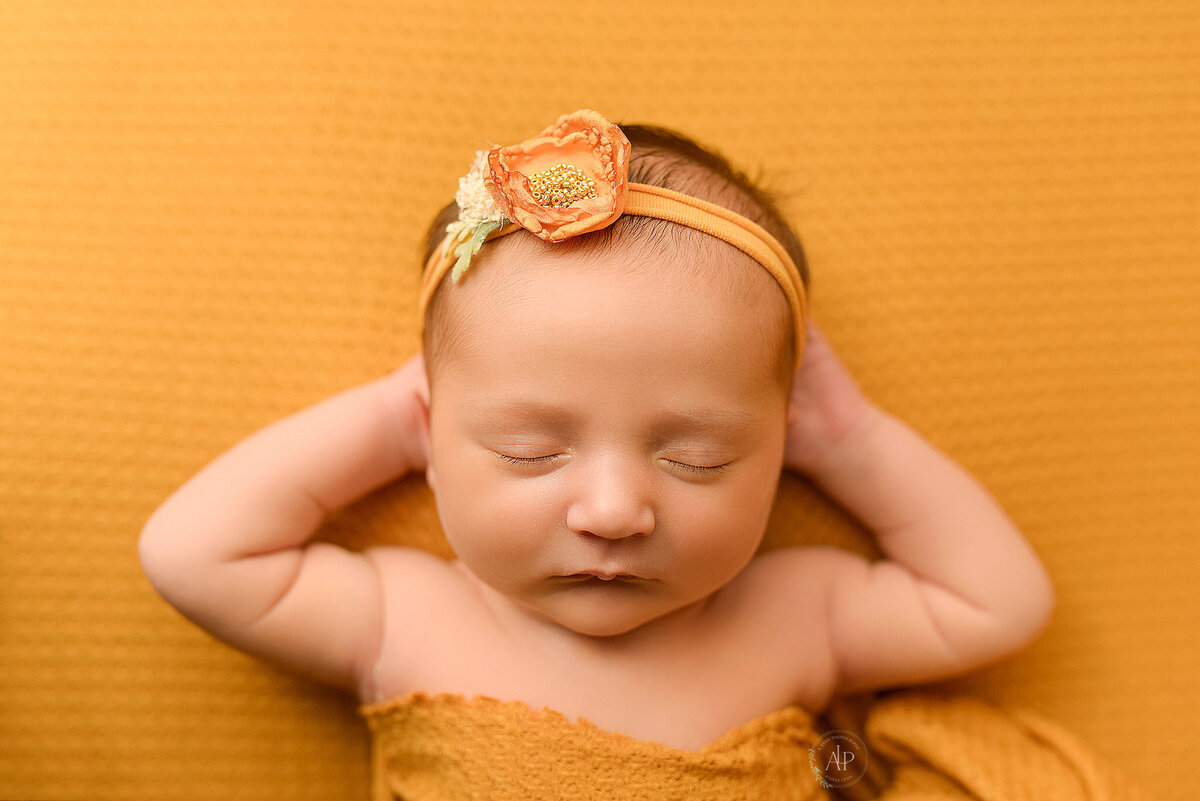 newborn photographer near me