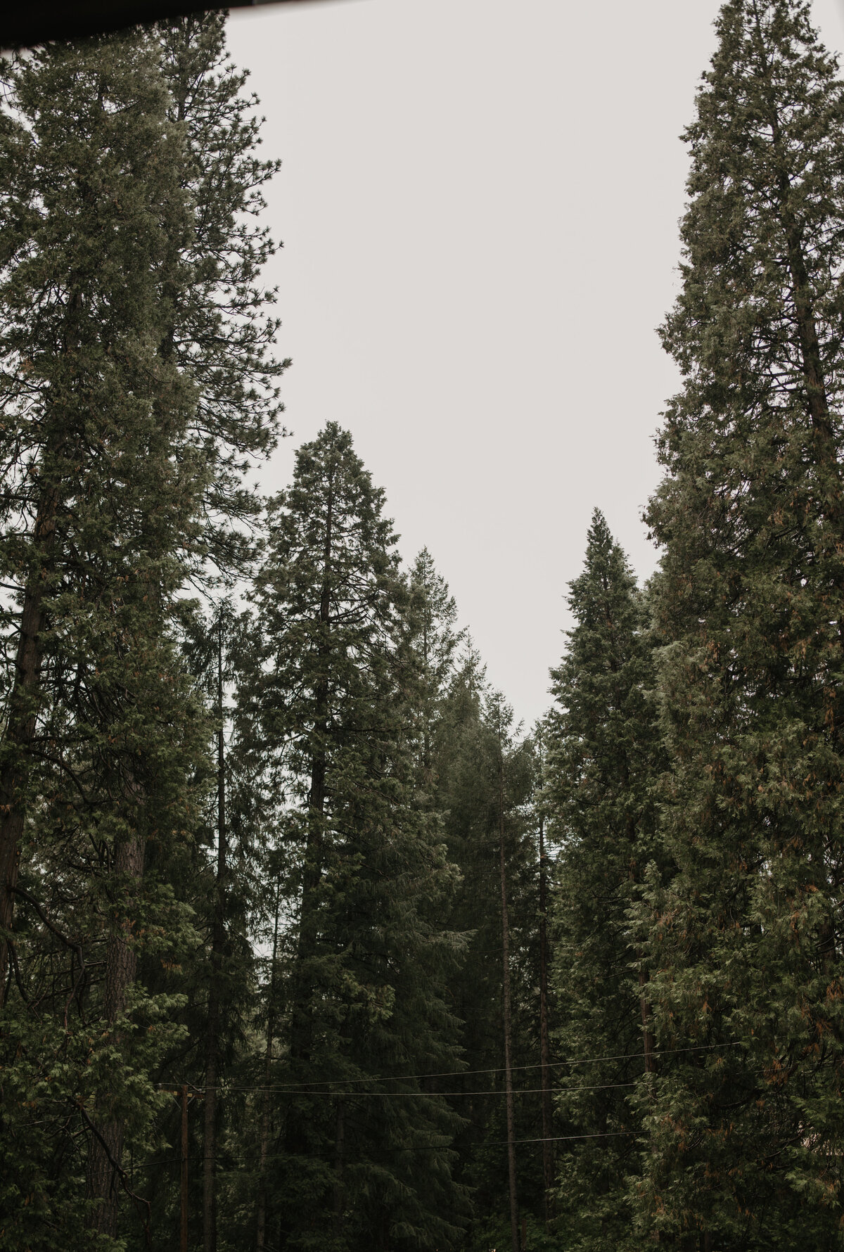 MountainTimePhotography-598