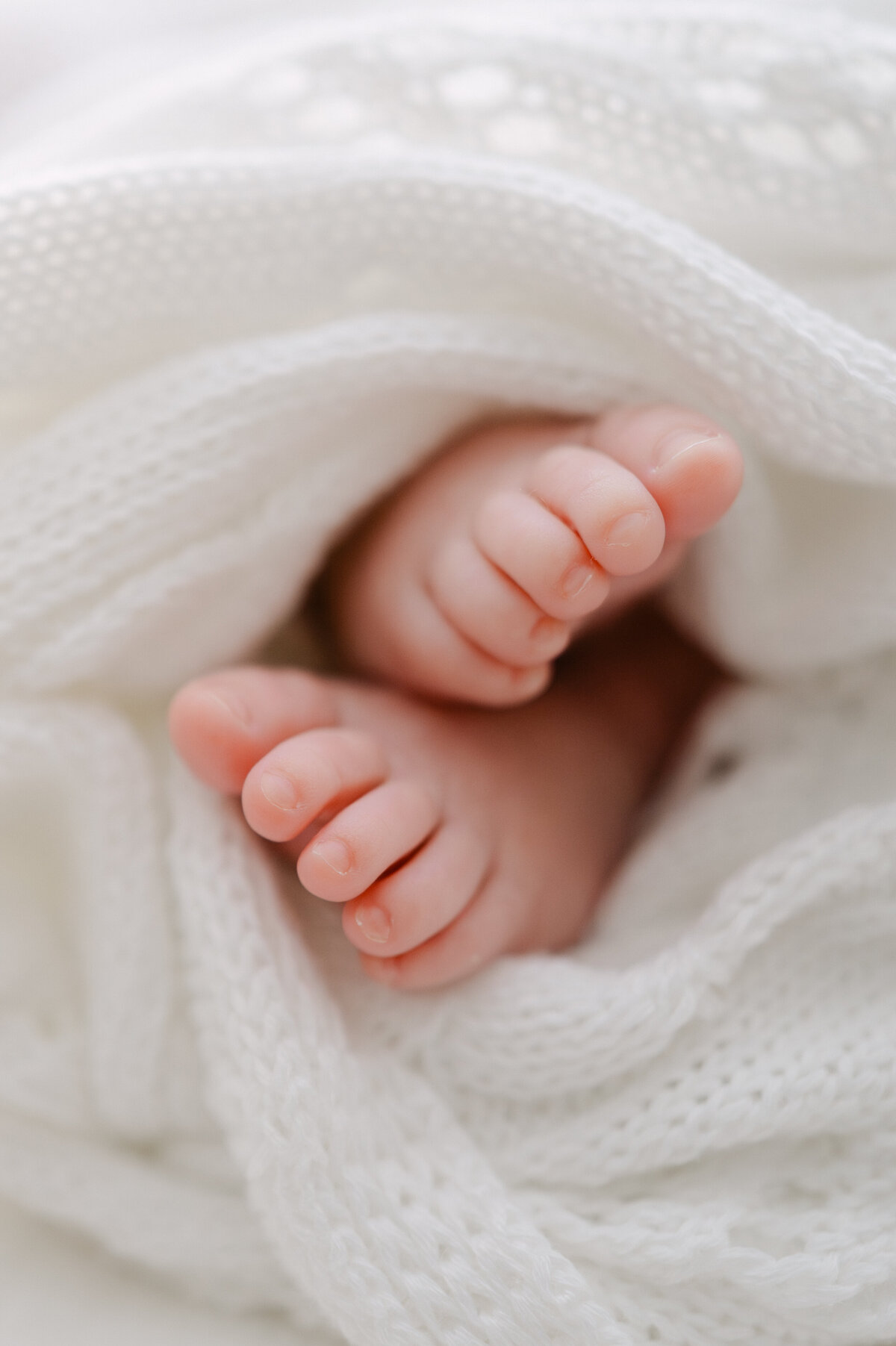 Miami Newborn Photography