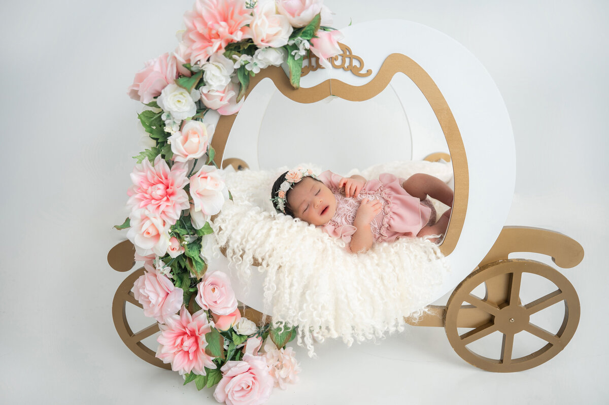 Naperville Family Photographyer-51