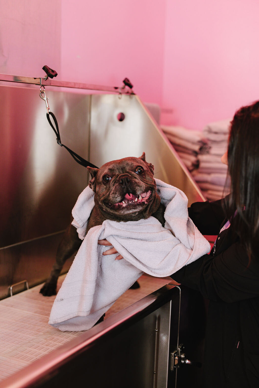 05.14hillfamilypetcare-317