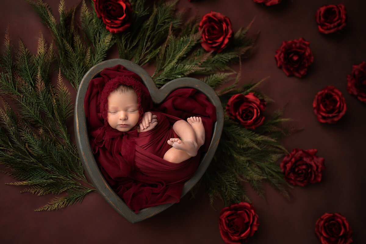 Newborn baby swaddled in deep red fabric, sleeping inside a heart-shaped bowl surrounded by red roses and greenery, photographed by Dallas newborn photographer.