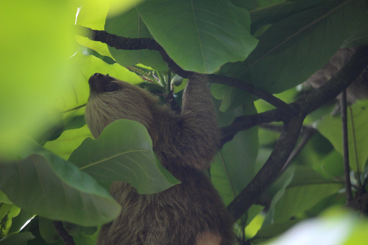 Wade_Muir_Photography_Places-52