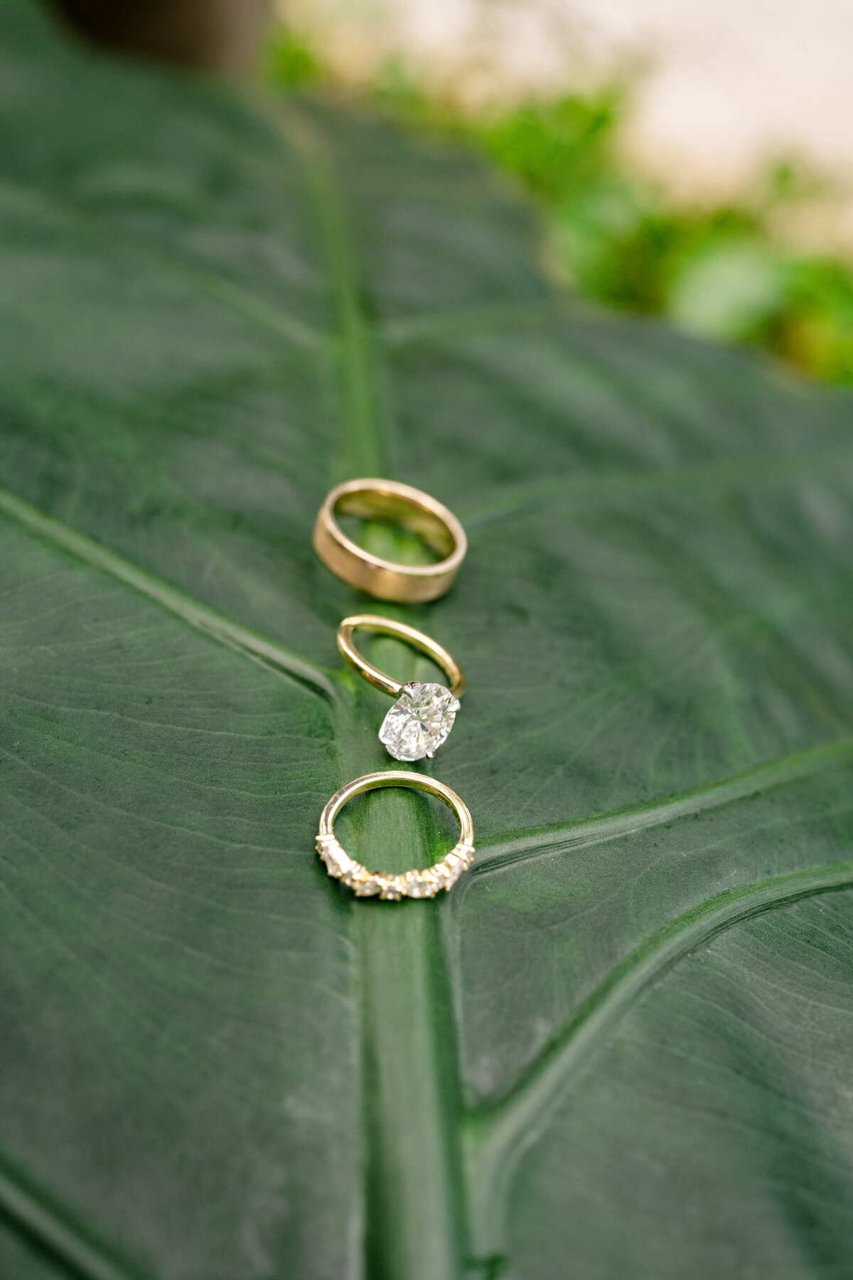 Berlez-Aspen-Avenue-Chicago-Wedding-Photographer-Grace-and-Ivory-Wedicity-Mexico-Editorial-Luxury-Tropical-Aveil-Brides-Designer-45