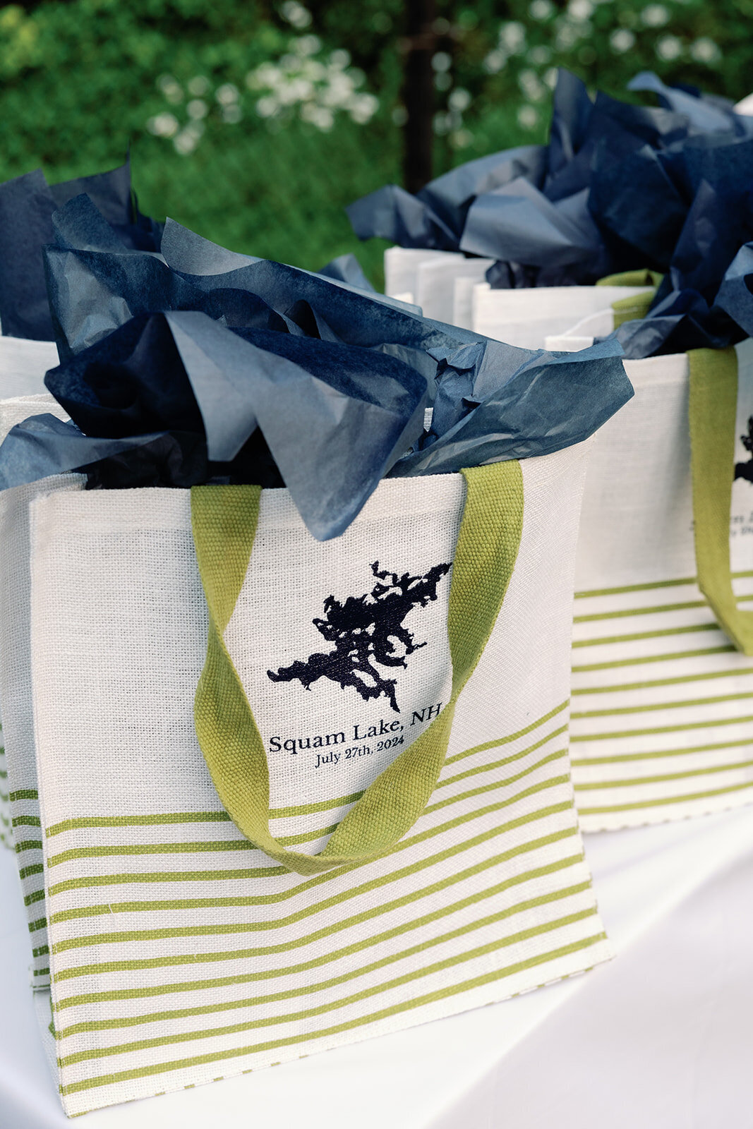 squam-lake-new-hampshire-welcome-party001