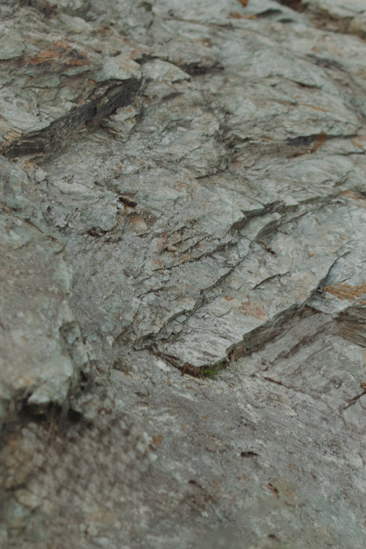 250830JENMAT_adv0229