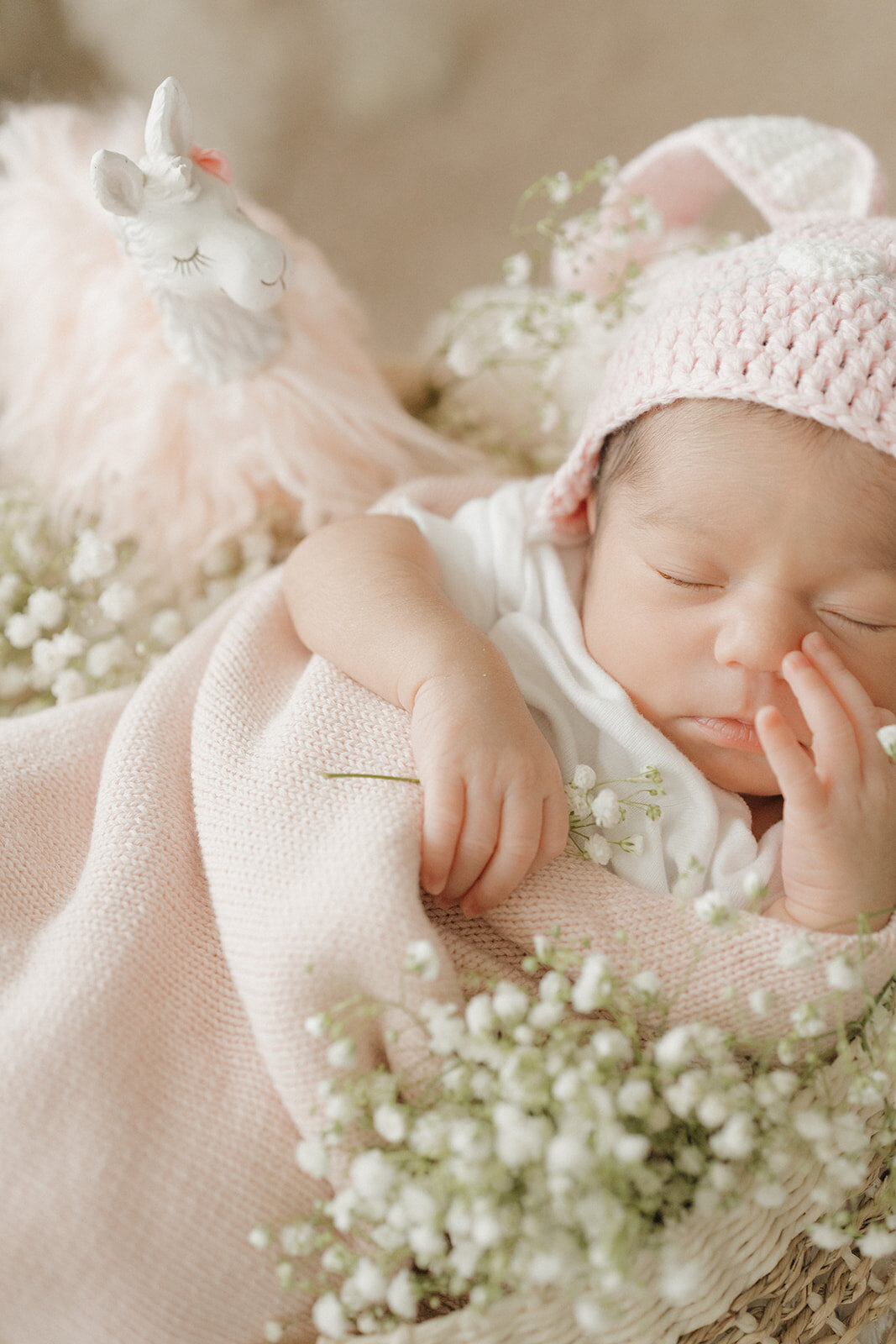 Bay Area new born Photographer6