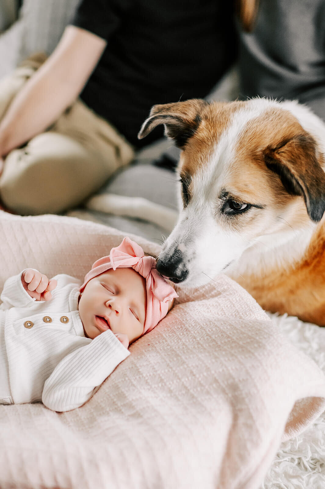 greensboro-lifestyle-newborn-photographer-1082